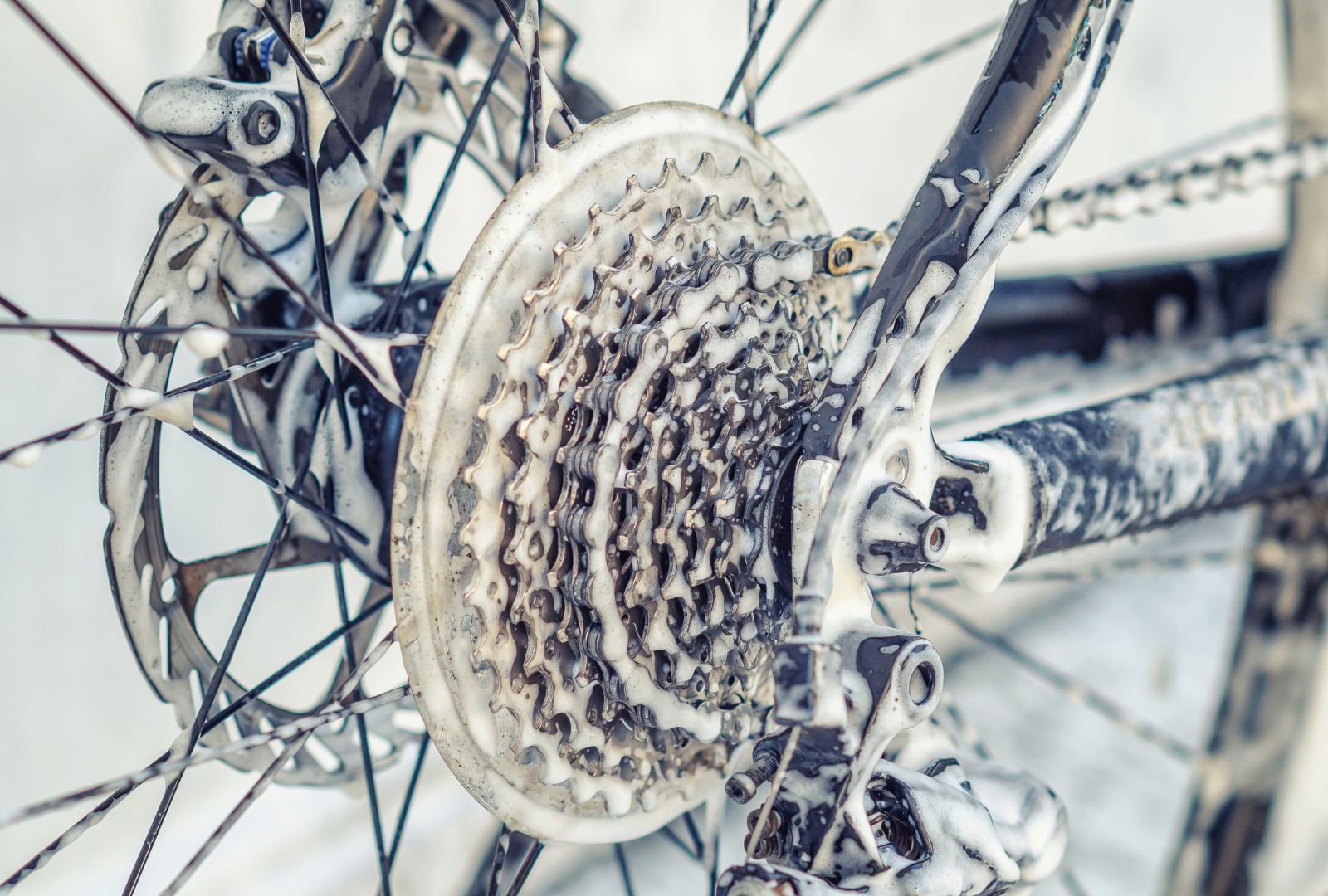 Keuzehulp: een racefiets of een mountainbike? - In de Kopgroep